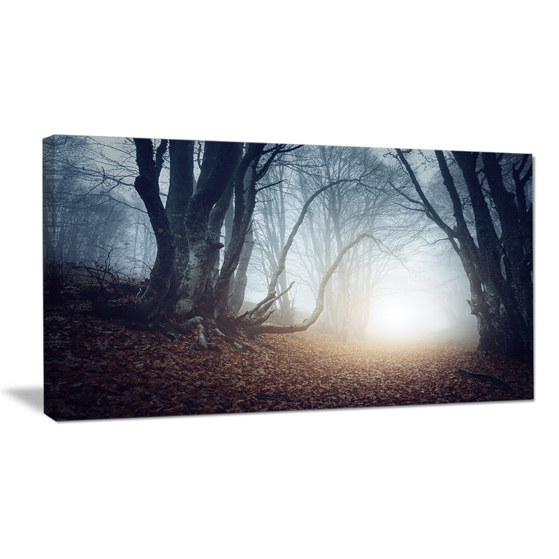 Mysterious Forest Landscape Canvas Print in Dark Tones
