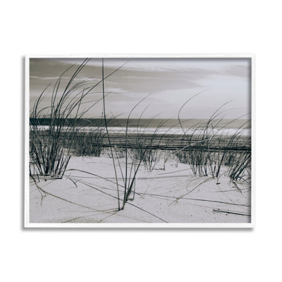 Photographie des dunes de l'océan par Graffi * Tee Studios