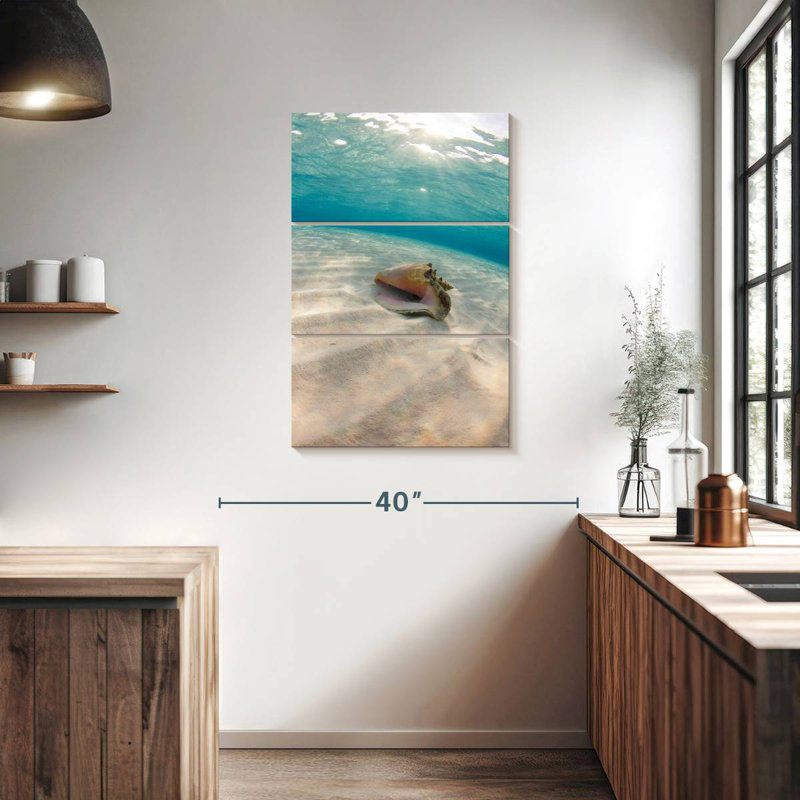 Aletra Underwater Seashell, 38" H x 24" W