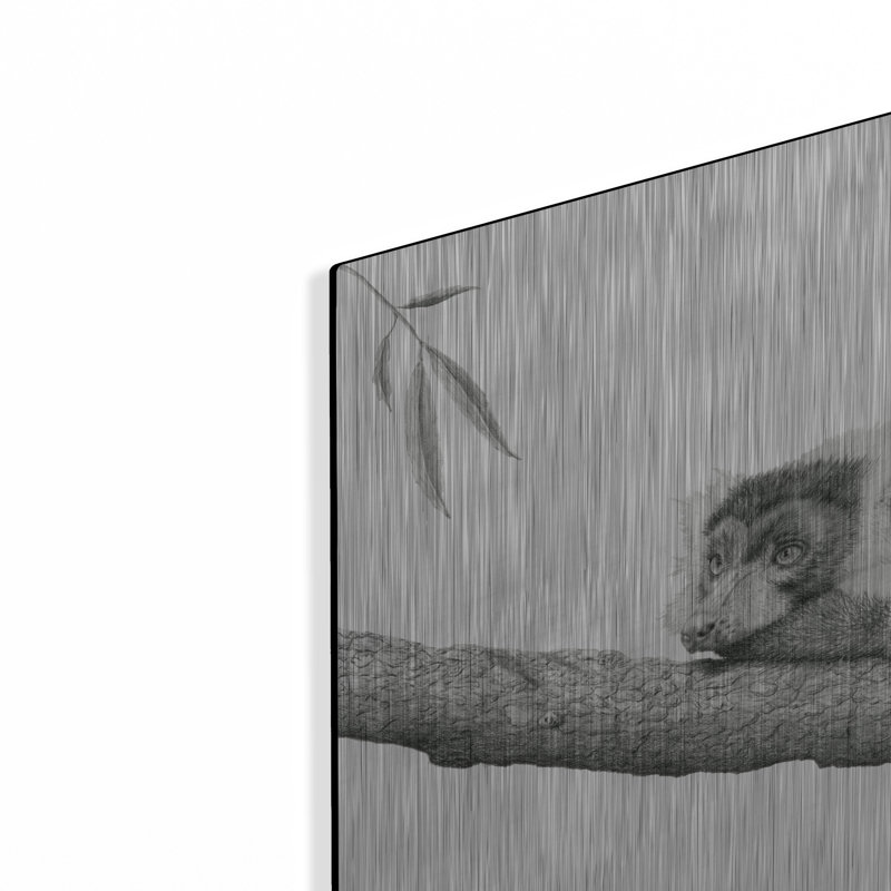 Art mural en métal Latitude Run® «Madagascar Velvet» par Darlene Pavlovich, H 12 po x l 16 po