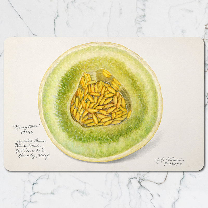 Watercolor Cantaloupe Placemat And Coaster Set For Dining Table