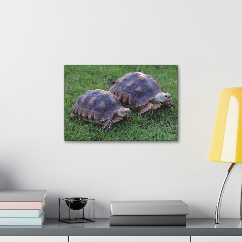Wall Art on Canvas
