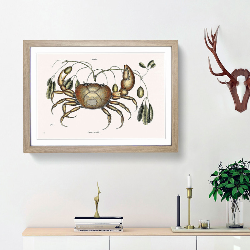 Land Crab by Mark Catesby - Picture Frame Painting Print, 48cm H x 65cm W x 2cm D, Oak Framed