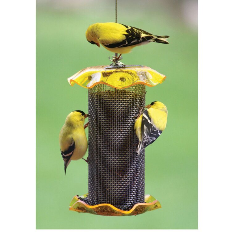 Mangeoire à oiseaux en métal avec chaîne suspendue, Statue de
