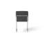 Frozen Dining Chair