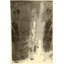 Rectangle Rectangle 5'11'' X 8'11'' Area Rug