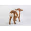 Statue vache debout-120614050