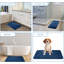 Amiliah Solid Colour Indoor / Outdoor Area Rug-1186424195