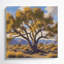 «Southwestern Plants» Palo Verde, art mural brun sur toile 172-1937715342