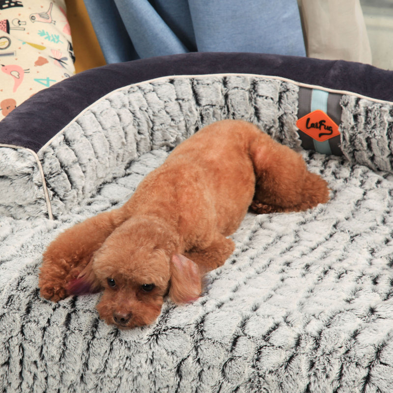 Lit orthopédique pour animaux en polyester, H 7 po x l 37,4 po x P 31,4 po
