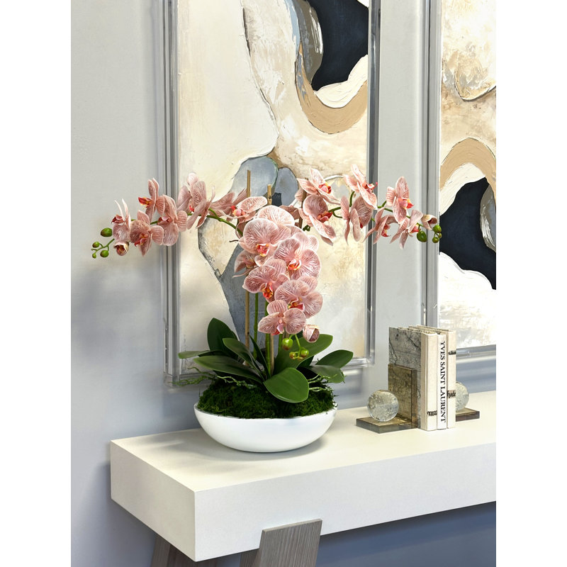 Orchids Arranged in Fiberstone Planter, Pink