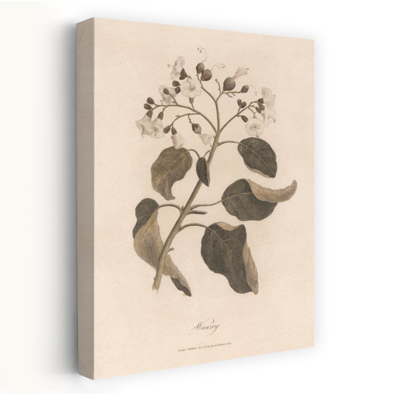 Art contemporain rétro, art floral rétro, H 24 po x l 16 po