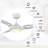 Fronniah 56'' Ceiling Fan with LED Lights-1633574676
