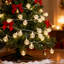 Fairy String Light-1775304335