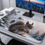 Polyester Desk Pad-338190327