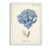 Cadre de toile blanc
