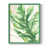 Cadre simple vert n'est pas disponible