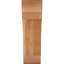 Attelle de genou olympique-29309935-31230593-70294214