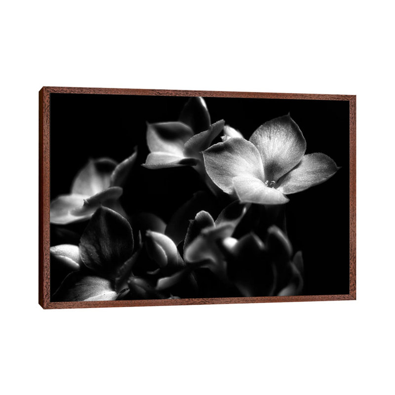 Orchid 1 Piece Wall Art on Canvas, 45.72cm H x 66.04cm W x 3.81cm D, Brown Framed