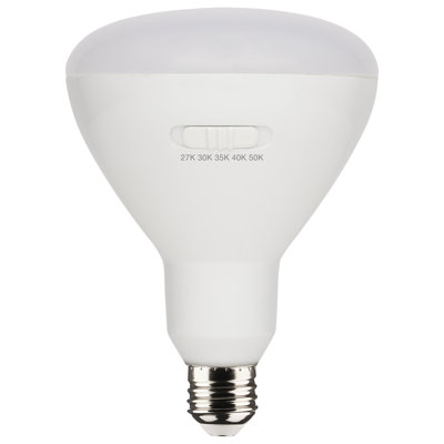 13 Watt White LED Bulb