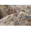 Tapis oriental gris Applecroft-124033484