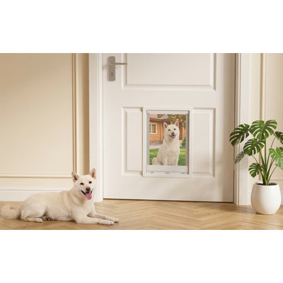 Pet Access Flap with Gentle-Close Transparent Magnetic Curtain & Clip-In Sealing Panel, Premium PVC, for Small Dogs & Cats