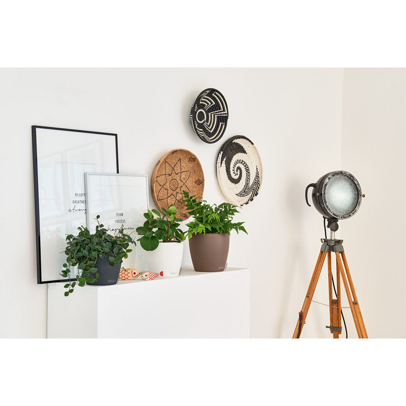 Classico Pot Planter, 19 cm H x 17 cm W x 11 cm D, White