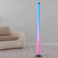 Casperson 150cm LED Novelty Floor Lamp