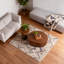 Ensemble de tables basses rondes