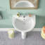Lavabo de salle de bain sur pied en porcelaine vitreuse en U 31,5 "avec trop-plein Liberty