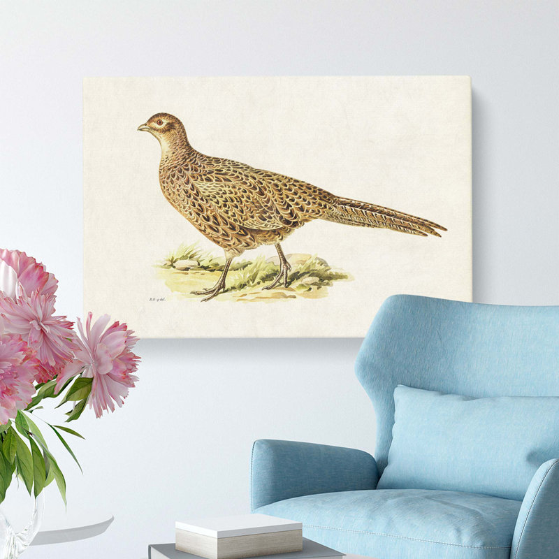 Pheasant by Von Wright - Wrapped Canvas, 50.8 cm H x 76.2 cm W