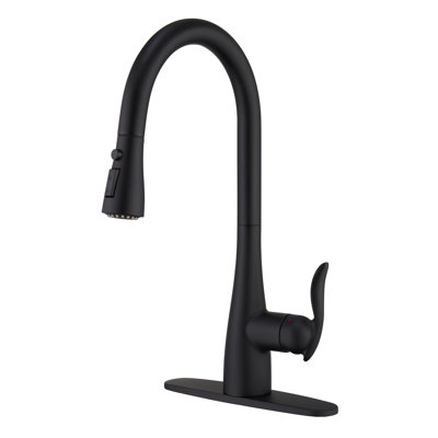 Mondawe Pull Down Kitchen Faucet