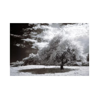 Peace 1 Piece Wrapped Canvas Wall Art