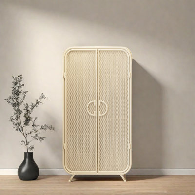 Simple And Light Luxury Steel Art Wardrobe