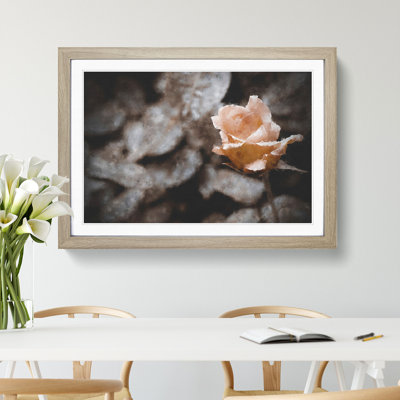 Pink Rose Flower Vol.5 - Framed Print