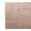 Area Rug in Beige