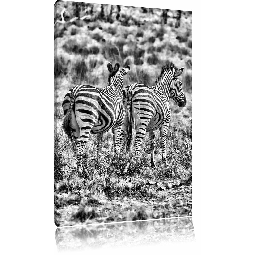 Leinwandbild Zebraherde in Savanne in Monochrom