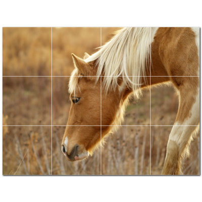 Murale en céramique satinée Horse Photo 8 po x 8 po