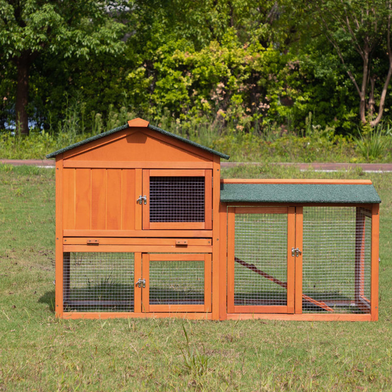 Cage à lapin polyvalente en bois pour une utilisation intérieure et extérieure avec des caractéristiques pratiques