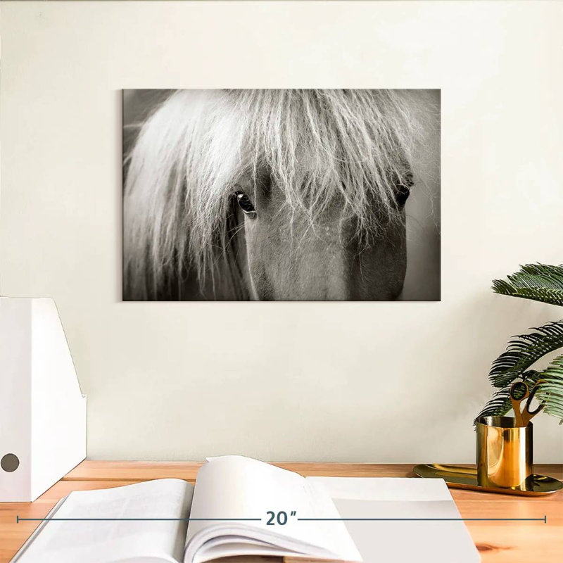 Gros plan sur un cheval Islandais Brampt, 8" H x 12" W