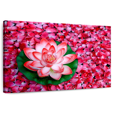 Harnek fleur de lotus et pétales de rose