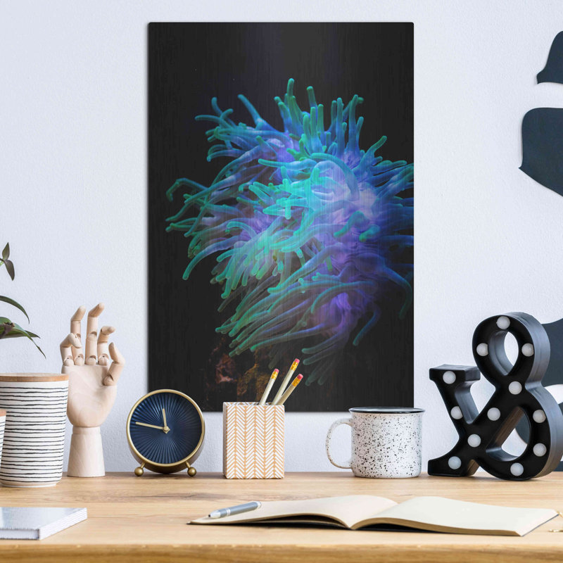 «Actinia» par Epic Portfolio, 24 po x 36 po, H 16 po x l 12 po 