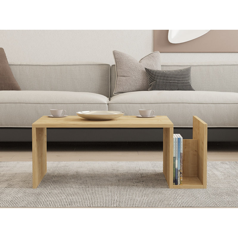 Shelbyville Abstract Coffee Table with Storage