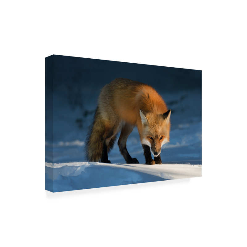 Art sur toile renard roux, Susan, H 16 po x l 24 po