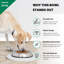 Pet Bowl-13945733