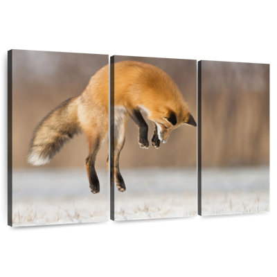 Brampt sautant le renard roux