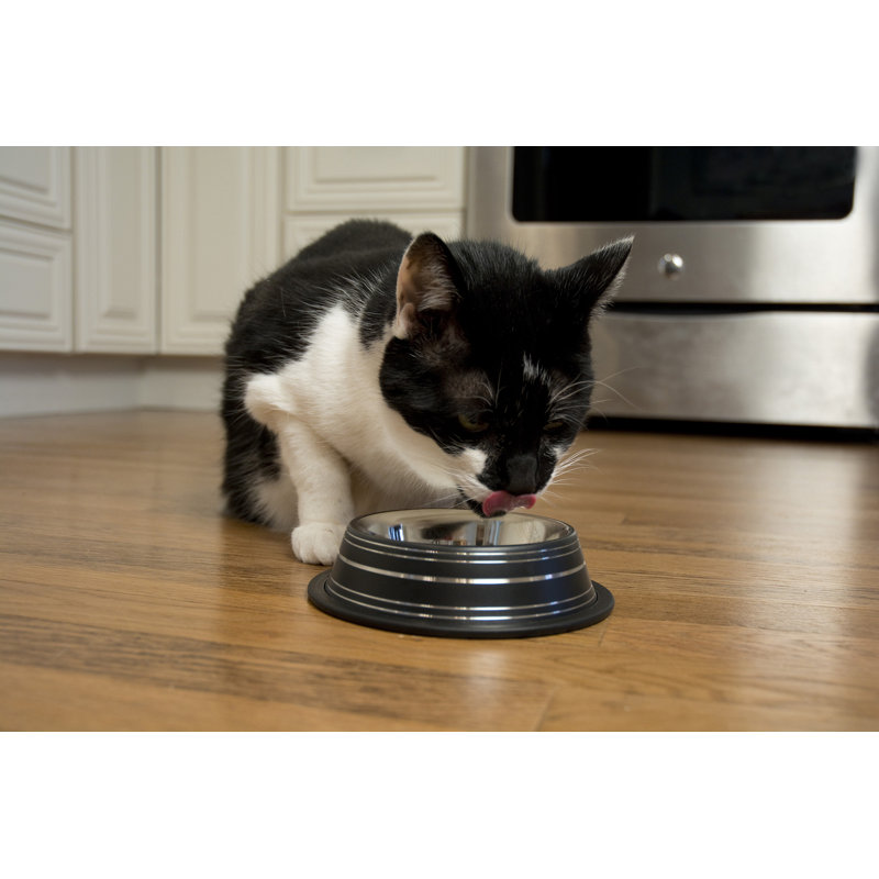 Bol pour animaux de compagnie antidérapant, 16 oz, Noir