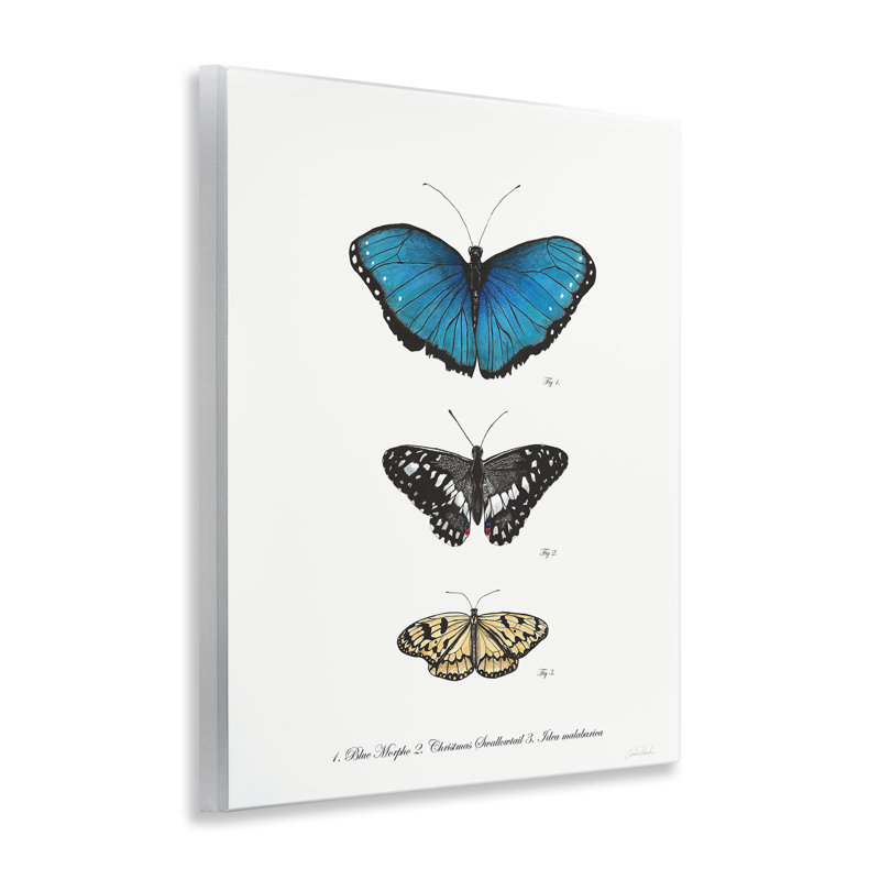 "Vintage Butterfly Specples", art mural par Connie Resch