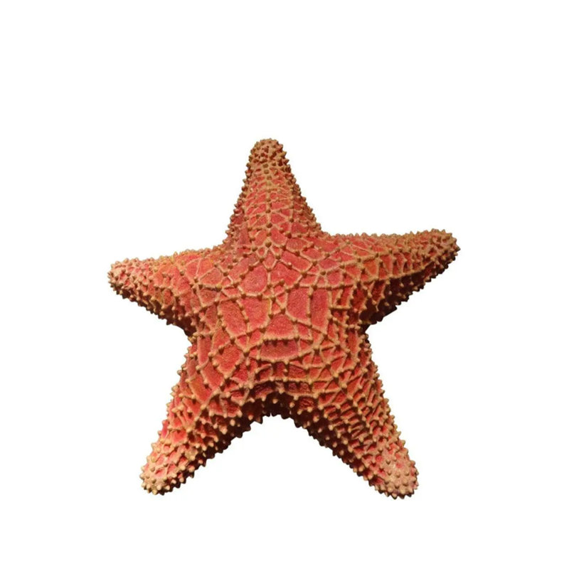 Comic Cushion Starfish Statue