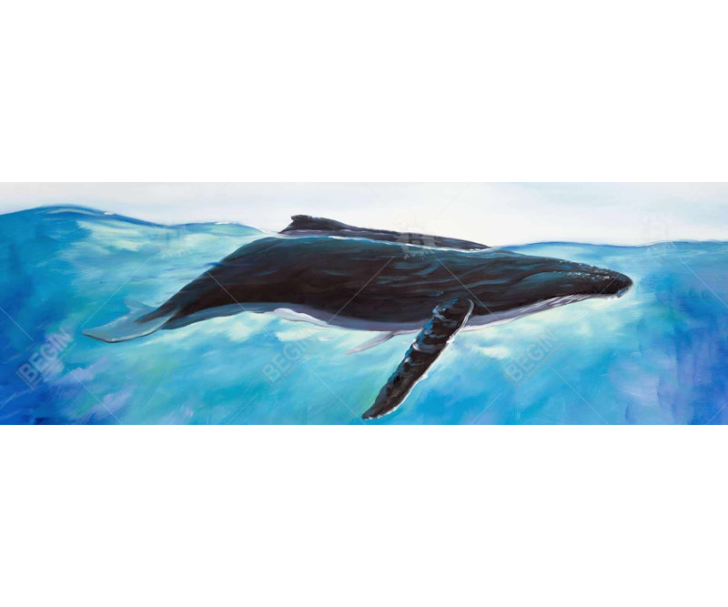 " Blue Whale "